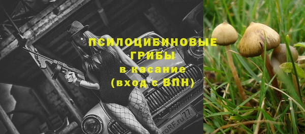 гашик Верхнеуральск