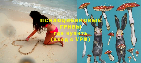 спайс Верея