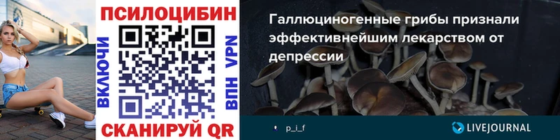 Псилоцибиновые грибы Magic Shrooms  Купить где  Пересвет 